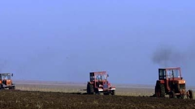 Seceta din toamna anului 2011 va reduce veniturile agricultorilor 