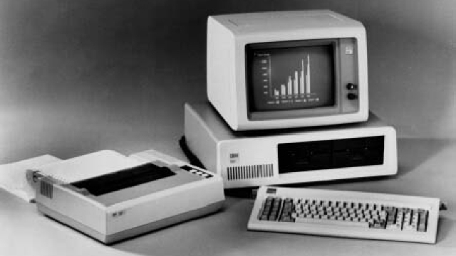 Anul 1981
