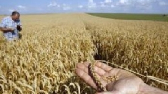 Agricultorii solicită reintroducerea subvențiilor pentru fertilizanți