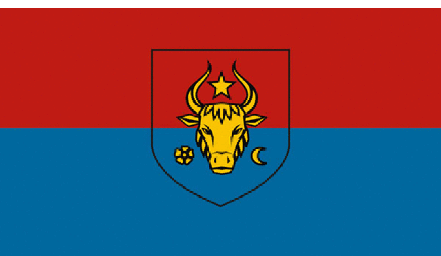 Consiliul municipal din Bălți a adoptat arborarea steagului roș-albastru