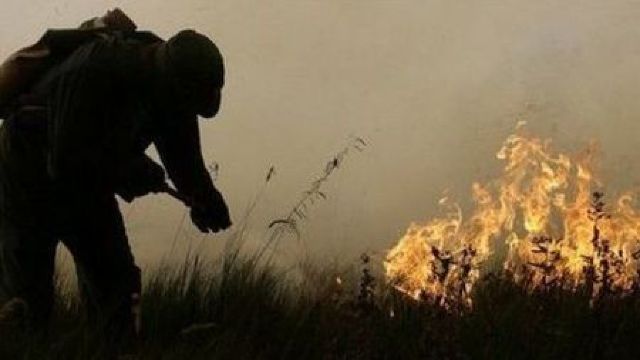 Un lan de grâu a luat foc ieri în apropierea satului Maramonovca, din raionul Drochia