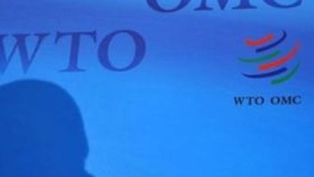 În Republica Moldova vor fi create 5 centre ale OMC