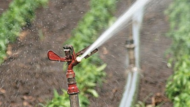 Subvenții de 4,5 milioane de lei pentru agricultori