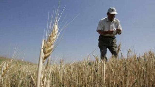 Majorarea Taxei pentru Valoare Adăugată  la producția agricolă 