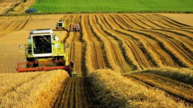 Achitarea impozitelor în agricultură ar putea fi amânată până la 31 decembrie