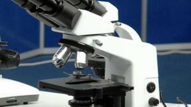 Shinya Yamanaka și John Gurdon au primit Premiul Nobel pentru Medicină pe anul 2012