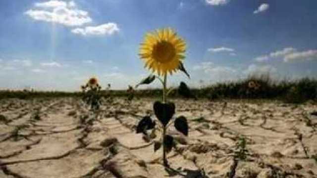 România contribuie la atenuarea efectelor secetei din Republica Moldova