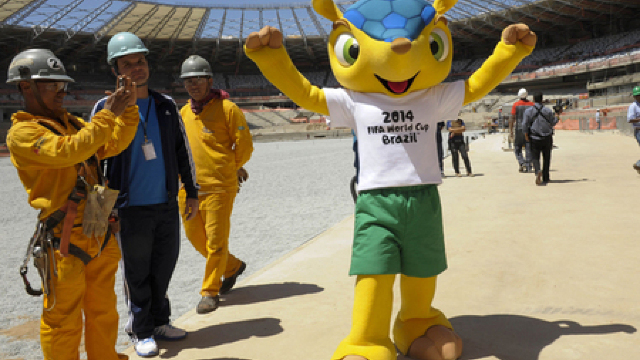 Mascota Cupei Mondiale din 2014 a primit numele Fuleco