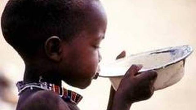 ONU și-a reluat distribuția de rații alimentare în Mali
