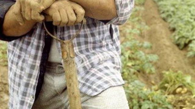 Creditele în agricultură