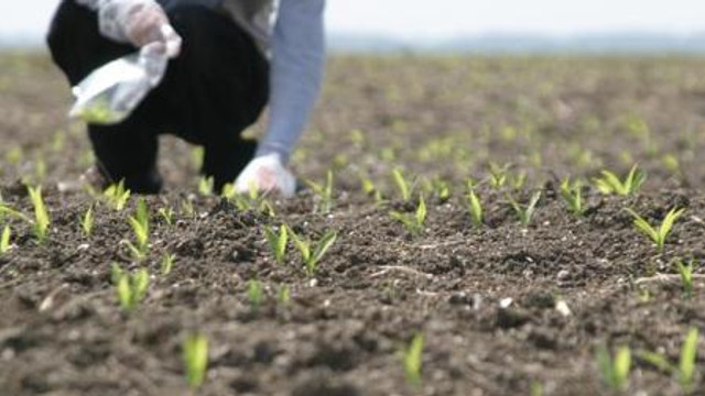 Fermierii vor credite garantate