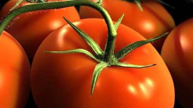 Rusia a simplificat controlul vamal pentru produsele moldovenești