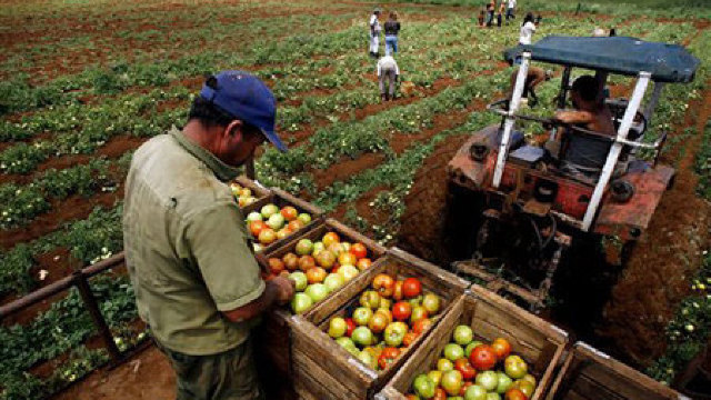 Fermieri: Agricultura să fie declarată ramură prioritară a economiei naționale