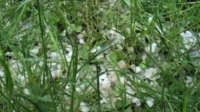 Agricultorii care au avut de suferit în urma calamităților naturale vor primi ajutor financiar
