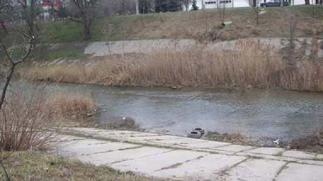 În Chișinău, în râul Bâc nu trăiește nici un țânțar