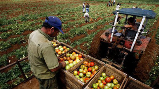 Banca Mondială oferă granturi pentru agricultorii moldoveni