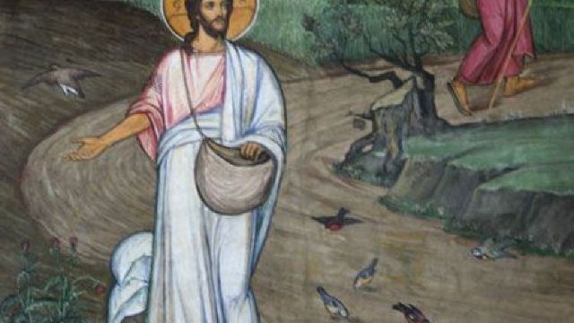 Pericopa semănătorului