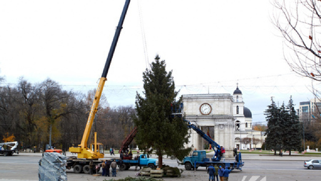 Chișinău | Pomul de Crăciun va fi inaugurat pe 1 decembrie (VIDEO)