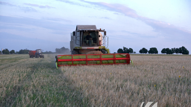 Noi granturi pentru producătorii agricoli 