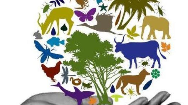 Ministerul Mediului a lansat Caravana biodiversității