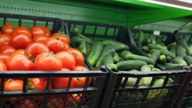 Rusia ar putea introduce taxe la importul de produse agricole din Republica Moldova