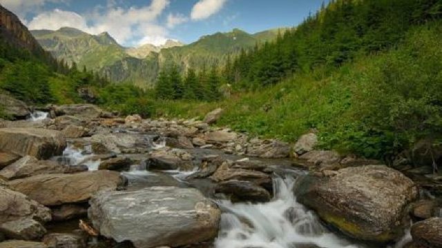 Râul tinereții - Noua Guinee