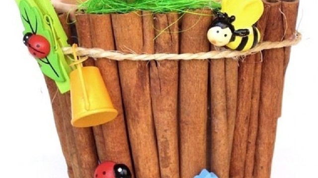 Ghiveciul fără flori - Coreea