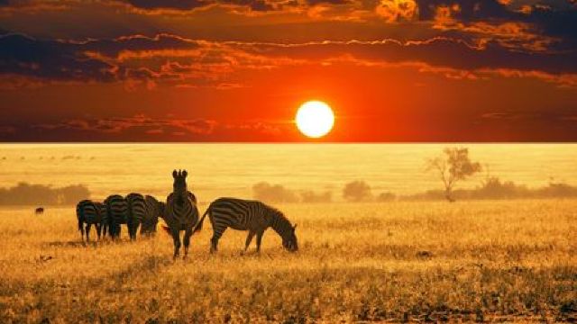 Paznicul savanei - Basm african