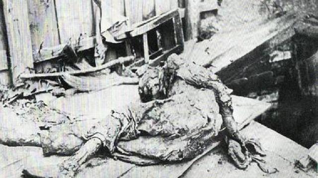 O groapă comună cu rămășițele a 175 de persoane, torturate de NKVD a fost găsită în Ucraina