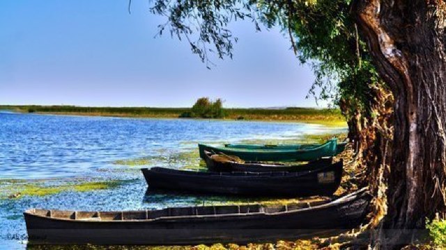 EUalegROmania! Delta Dunării – insula care nu e nici apă, nici pământ