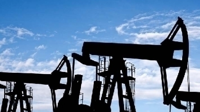 OPEC nu are un preț țintă al petrolului