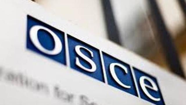 OSCE a lansat un apel către părțile implicate în conflictul ucrainean