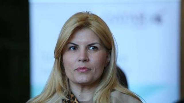DNA cere începerea urmăririi penale față de Elena Udrea