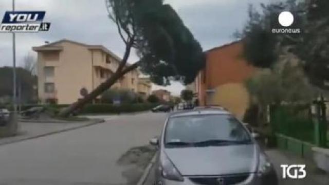 Ploi și vânturi puternice fac victime în Italia