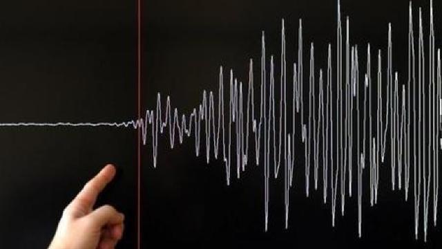 Cutremur de 3,7 în Vrancea