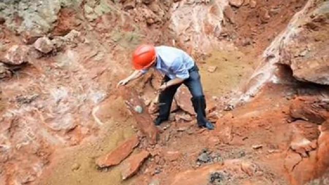 Zeci de ouă de dinozaur descoperite într-un oraș din China (VIDEO)