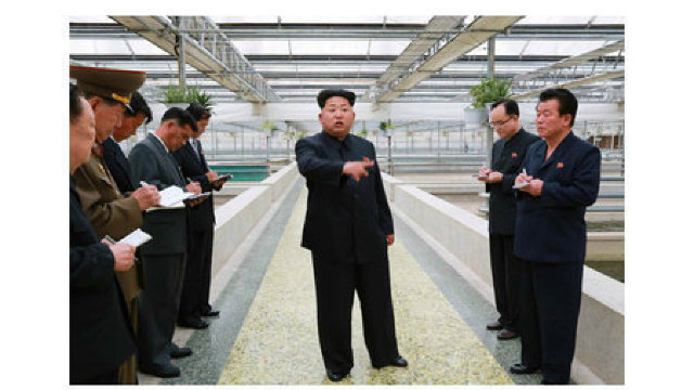 Kim Jong-un înfuriat în timp ce vizita o crescătorie de broaște țestoase