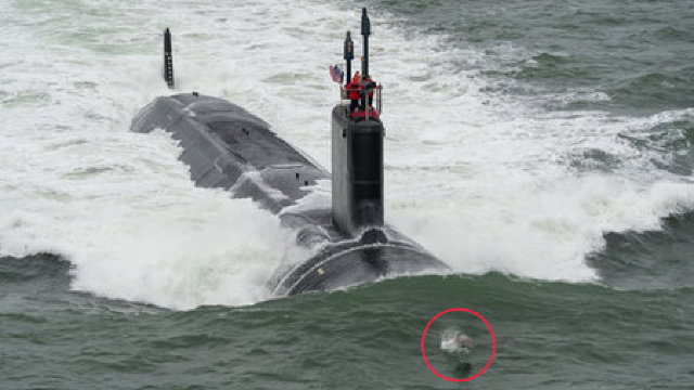 Un delfin s-a luat la intrecere cu un submarin nuclear (FOTO)