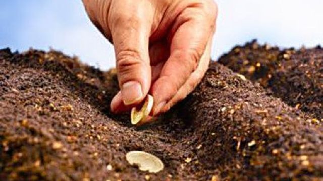 Cum au fost distribuiți banii din subvenții în agricultură în 2014