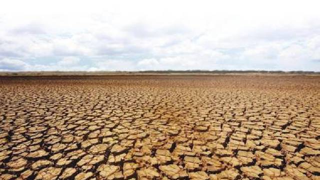 Thailanda se confruntă cu una dintre cele mai grave perioade de secetă