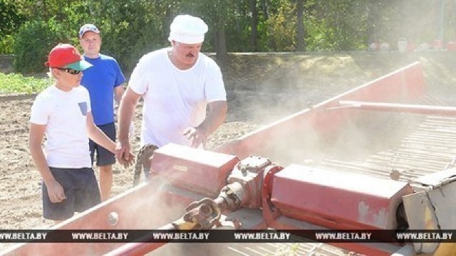 Alexandr Lukașenko la strâns cartofi (FOTO)