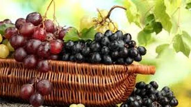Recolta de struguri de masă este mai mică față de 2014