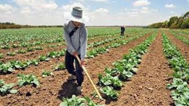 Agricultorii își vor primi restațele până la 30 octombrie 