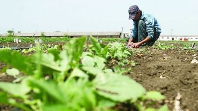 Fermierii din centrul R. Moldova își pot ambala marfa conform normelor europene