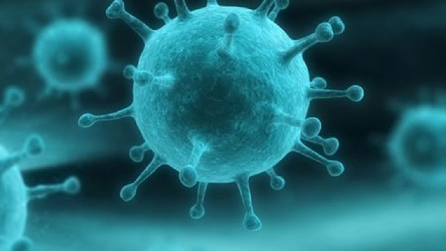 VIRUSUL A/H1N1 Pese o sută de decese din cauza gripei porcine în Rusia