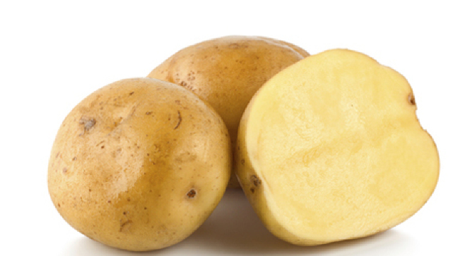 Producătorii de cartof din nord vor să atragă un investitor leton