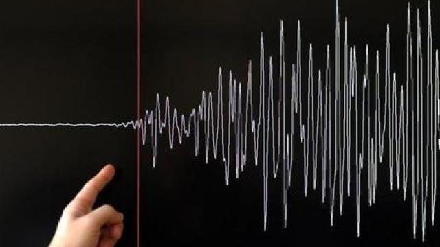 Cutremur de 3,4 grade pe scara Richter în județul Buzău
