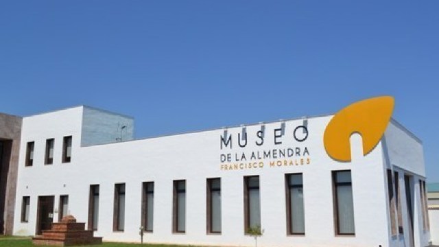MUZEE CULINARE: Muzeul Migdalei din Spania