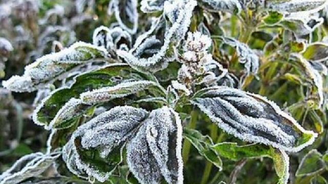 ATENȚIE! Meteorologii au emis avertizare de cod galben