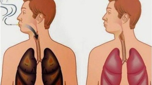Trei alimente care curăță plămânii de nicotină
